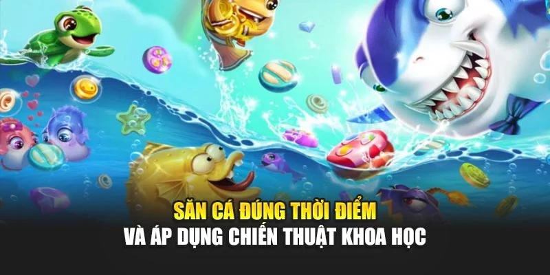 Săn cá đúng thời điểm và áp dụng chiến thuật khoa học
